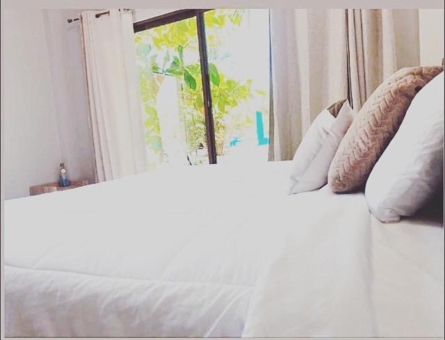 Sambo Mambo Beach Hotel เอลกูโก ภายนอก รูปภาพ